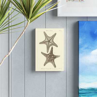 «Striking Starfish II», impression sur toile