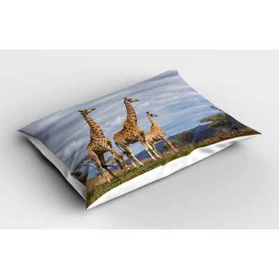 Family Polyester Sham Set