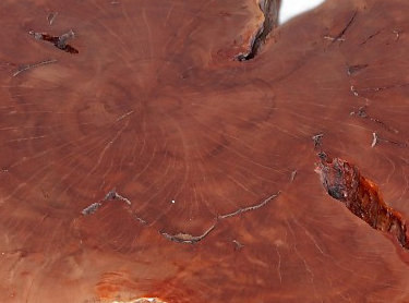 Solid Wood Coffee Table