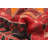 Rizbaft Red Rug 3'7" x 6'4"