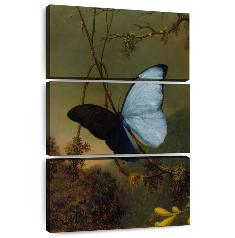 Brampt Blue Morpho Butterfly 1864-65