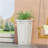 PLANTER