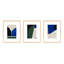 Arrangement Set Of 3 Print by Andrea Stokes-977848705-977848707-964306504