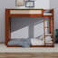 Lit superposé simple au-dessus d'un lit double avec tablette de rangement latérale et lit superposé en bois léger avec échelle intégrée et garde-corps-128987009