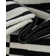 Arzilla Striped Ivory/Black Area Rug