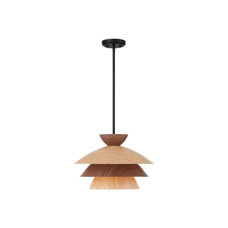 Whitaker 1-Light Pendant in Matte Black