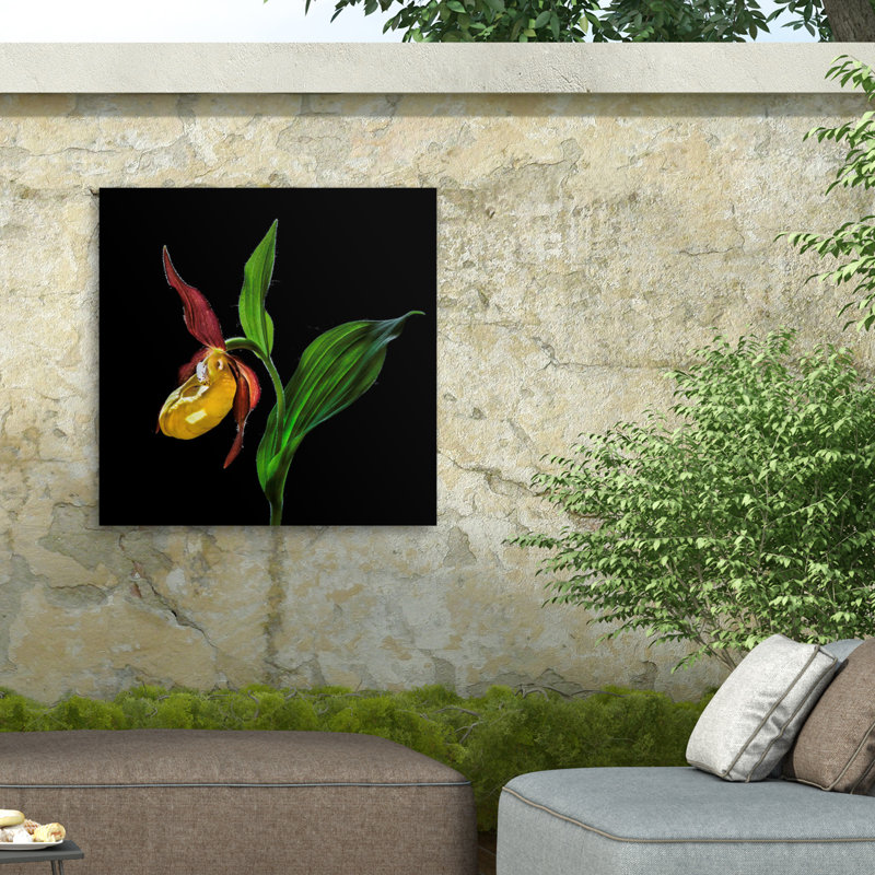 «The Ladys Slipper Orchid on Canvas» par Nora De Angelli, reproduction, H 18 po x l 18 po