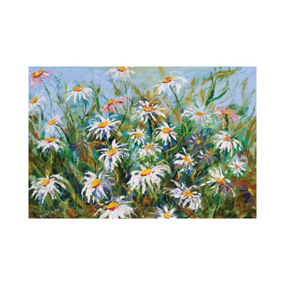 Daisies And Wildflowers by Karen Tarlton - Wrapped Canvas Painting