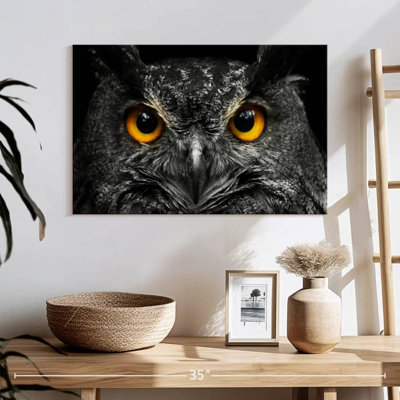 Yellow Eyed Owl