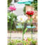 Grand magnolia de jardin