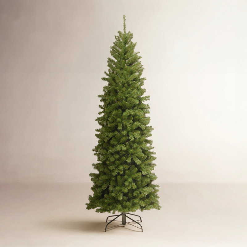 Épinette effilée North Valley Spruce, 6,5 pi
