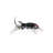 Awesome Insects Rhinoceros Beetle Figurine-101878179