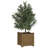 Wood Pot Planter-91895544-91895549-112554442