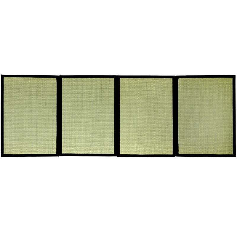 Tatami Solid Mat, 2'.95' x 6'.58'