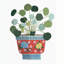 «Peperomia Still Life», reproduction encadrée | Décoration intérieure-121670363-121670369