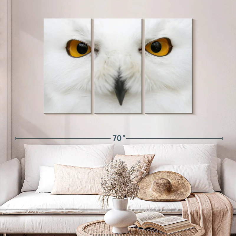 Yeux de chouette des neiges, H 28 po x l 45 po