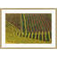 Fall Colors Of The Vineyard 1 Print by Nathan Turner