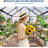 6x6 Ft Outdoor Polycarbonate Greenhouse with Durable Aluminum Frame, Sliding Door and Adjustable Roof Vent for Backyard Gardens-124938997