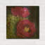 «Blooming Succulent III» par Carol Rowan, art mural en métal doré, 24 po x 24 po-1529757023