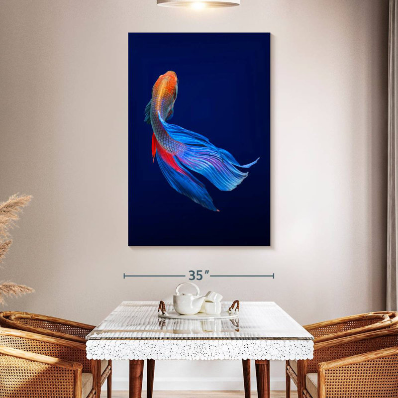 Poisson Betta Brampt, H 24 po x l 16 po