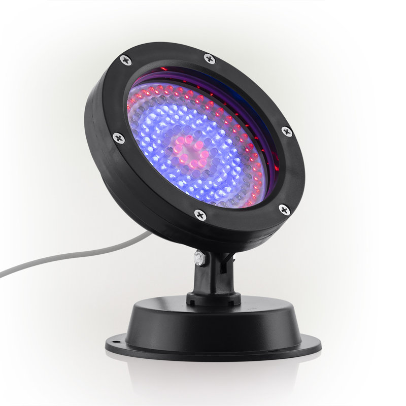 Howle Black Plug-in Integrated LED Spotlight Pack (Transformer Included)