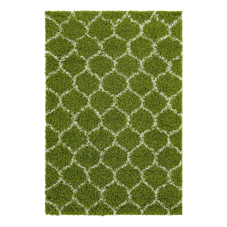 Red Barrel Studio® Ruby Trellis Shag Rug Green