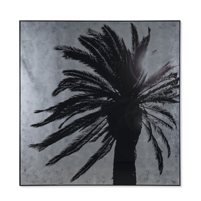 Silver Leaf Palm Tree B Print