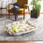 Cotton Pet Bed-436487664
