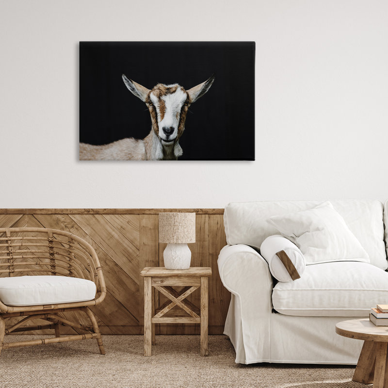 Goat Face over Black Canvas, design by Amy Carroll