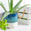 Ceramic Pot Planter-63880904-63880908