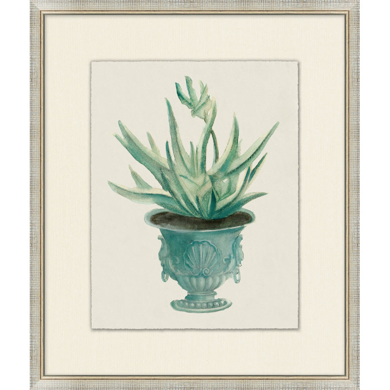 Aloe Pot 8 Print