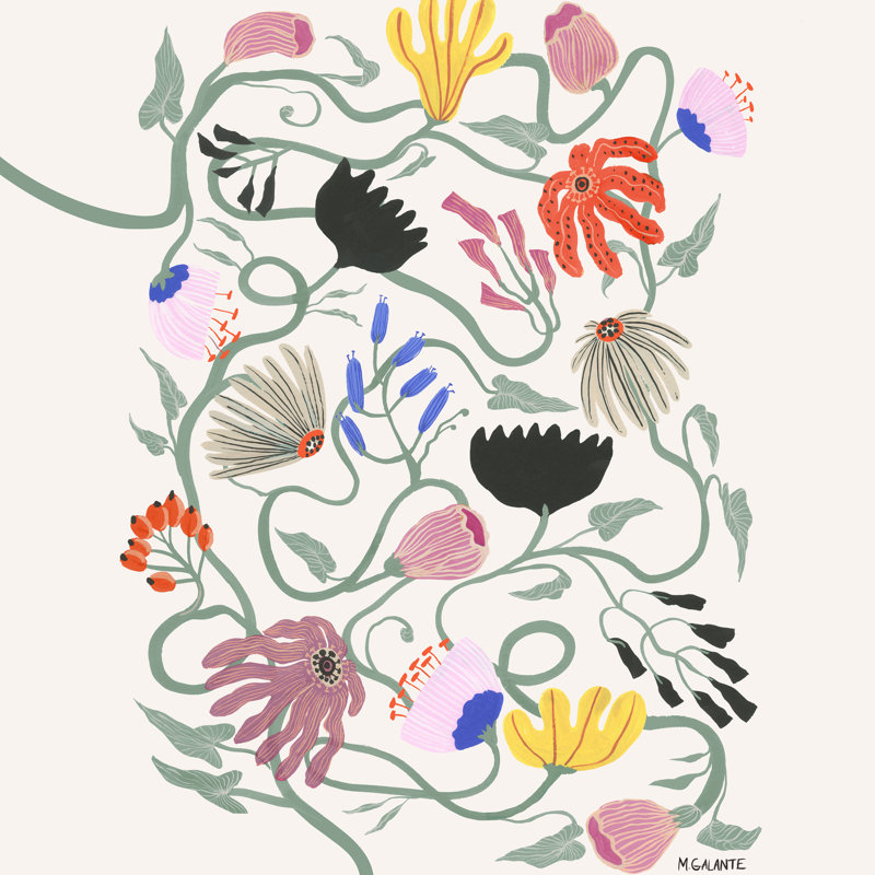 «Frances Floral» par Megan Galante - impression sur toile tendue, H 12 po x l 12 po, Non, Cadre flottant érable