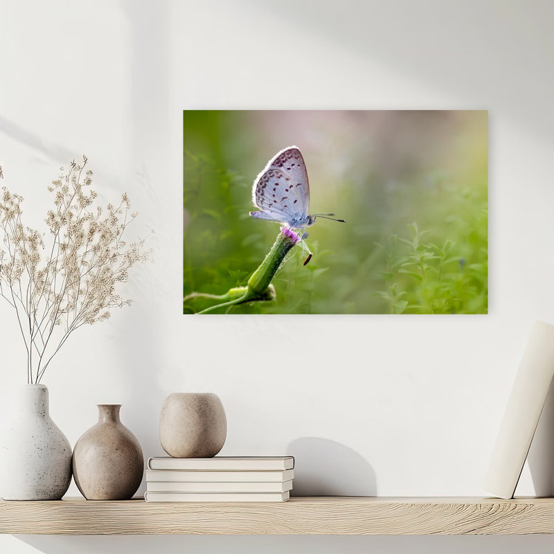 Delicate Blue Butterfly Delicate Peaceful Serene Butterfly Flower Nature Wall Art Print 1 Piece Wrapped Canvas Wall Art