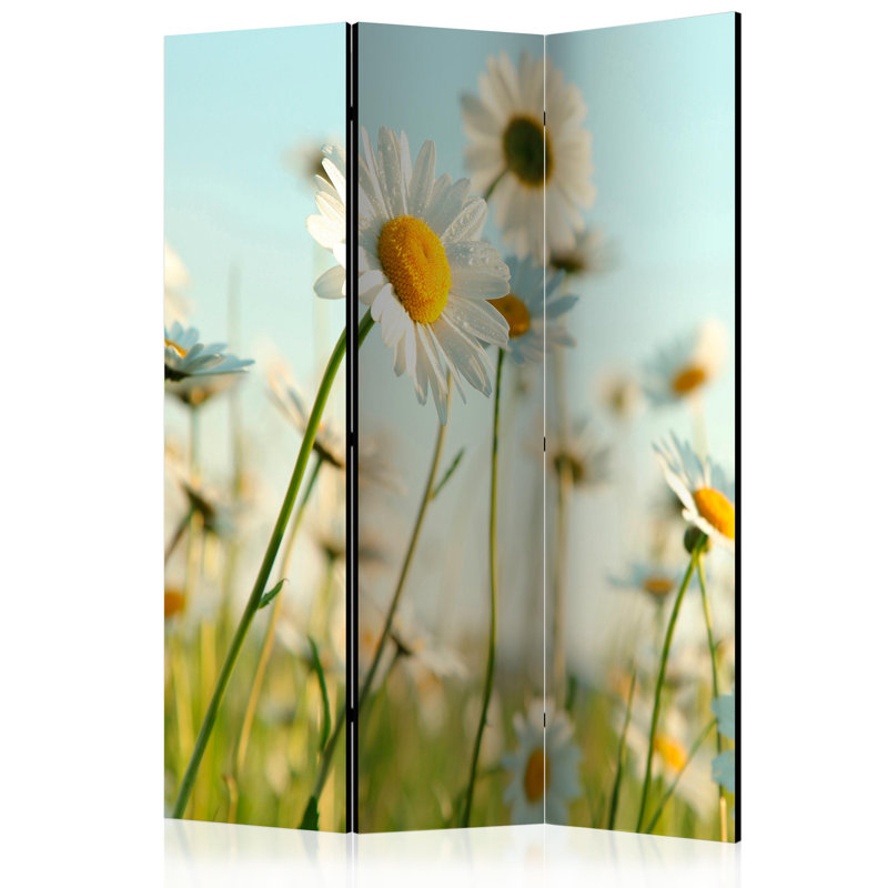 Mushegh 172cm H Folding Room Divider, 3, Daisy Field
