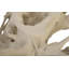 Cast Naturals Abstract Coffee Table