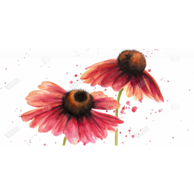 Two pink daisies - 15.75"x31.50" Desk mat