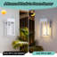 Applique murale d'extérieur imperméable avec verre transparent Modern Dusk to Dawn Sensor-1180826189
