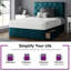 Eberhardt Divan Bed Base-1599963094-1599960993-1599960995