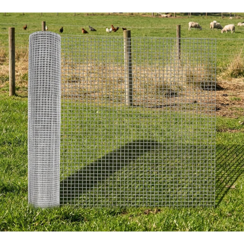 Clôture en fil galvanisé, pour oiseau, H 48 po x l 600, Argent argent