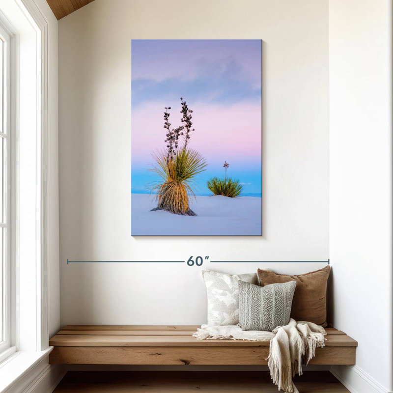 Yucca Soaptree, H 45 po x l 30 po