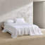Ensemble de draps en coton Calvin Klein-107531749-99454511