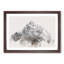 Mountain in Scotland - Framed Print-56915460-56915462