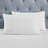 Moonlawn Cotton Gold Embroidered Deep Pocket Bed Sheet Set by Superior-110843117-100607825