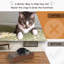 Grattoir pour chat, lit en carton, forme d'os-415322756
