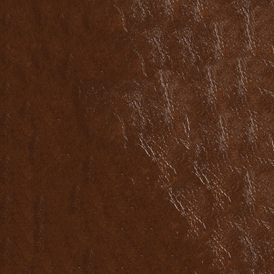 Tissu en similicuir glacé Abbeyshea par The Yard