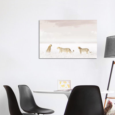 White Three Cheetahs by Klaus Tiedge - Wrapped Canvas Print