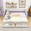 Rilla Twin XL Upholstered Daybed with Two Drawers-1110793818