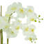 Orchid Arrangement in a Round Fiberstone Planter