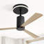 Ventilateur de plafond polyvalent 3 lumières intérieur / extérieur avec lumière DEL Adrainne
