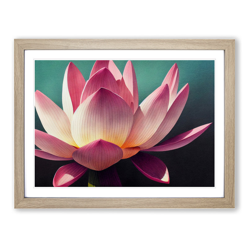 Gorgeous Lotus Flower - Single Picture Frame Print, 34cm H x 46cm W x 2cm D, Oak Framed